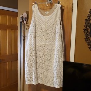 Lace Dress